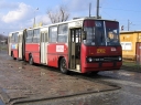51576.jpg