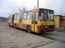52448.jpg