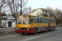 IMG_0665.JPG