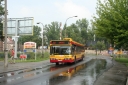 IMG_19528.jpg