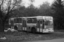 IMG_2261.JPG