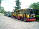 DSC01012.JPG