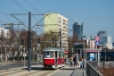 795_28229.JPG