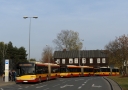 8802.JPG