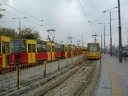 1156.JPG