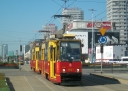 1164_28229.JPG