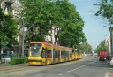 3103.JPG