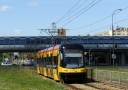 3117.JPG