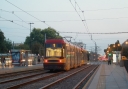 3295.JPG