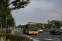 9803_105_wika.jpg