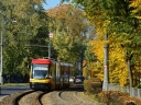 DSC_7677d.JPG