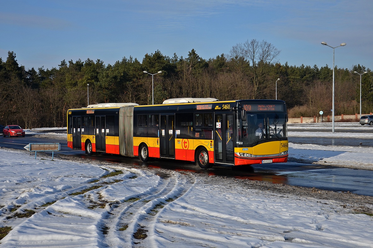 5460
Zimowo i zielono
