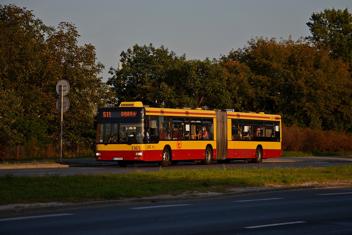 3365
DziĹ mieszkaĹcy DÄbrĂłwki WiĹlanej uszczÄĹliwieni. Po poĹudniu 6/8 starych ManĂłw na 511
