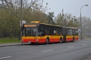 3358_523_wgkm.JPG