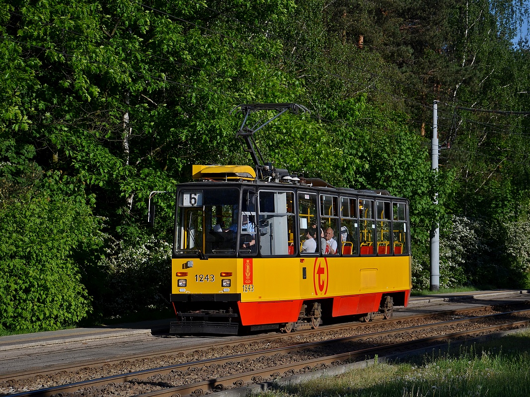 1243
Słowa kluczowe: Kelly