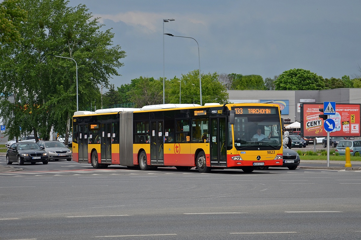 9823
Słowa kluczowe: DziwadĹo