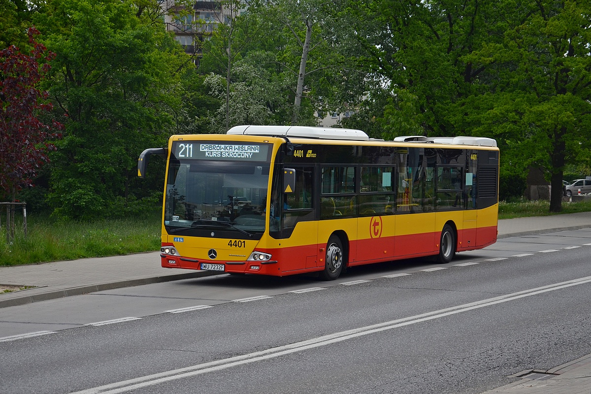 4401
Słowa kluczowe: DziwadĹo
