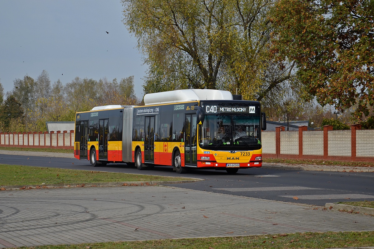 7233
Słowa kluczowe: WĹ2019
