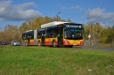 7231_C40_wgkm.JPG