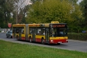3916_338.jpg