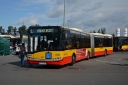 802_L_wgkm.JPG