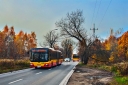 3446b.jpg