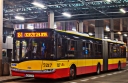 5217.jpg