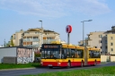 3361_1.jpg