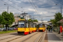 _MG_9510-2.jpg