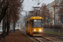 1446_1.jpg