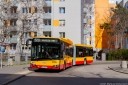 9955_1.jpg