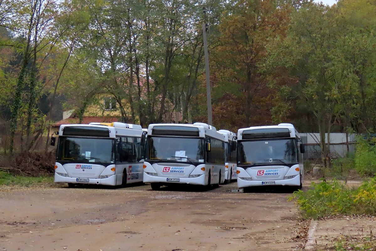80294
TytuĹowa Scania wraz ze Scaniami OmniCity o numerach 80267, 80264 (patrzÄc na prawÄ stronÄ kadru) oraz 80282 (stoi za ScaniÄ 80267) stojÄ na placu postojowym w okolicach grodziskiej zajezdni PKS Grodzisk. 
Obecnie w zwiÄzku z pandemiÄ koronawirusa i przez to zmniejszonym ruchem lotniczym na Lotnisku Chopina, wiÄkszoĹÄ lotniskowych Scanii odesĹano do Grodziska. 
