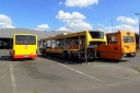 DSC09535.JPG