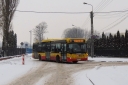IMG_1307_--_kopia.JPG
