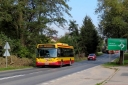 IMG_3728_--_kopia.JPG