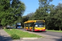 IMG_3897_--_kopia.JPG