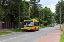 IMG_9466_--_kopia.JPG