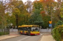 IMG_9986_285329_--_kopia.JPG
