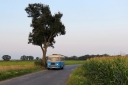 IMG_5181_--_kopia.JPG