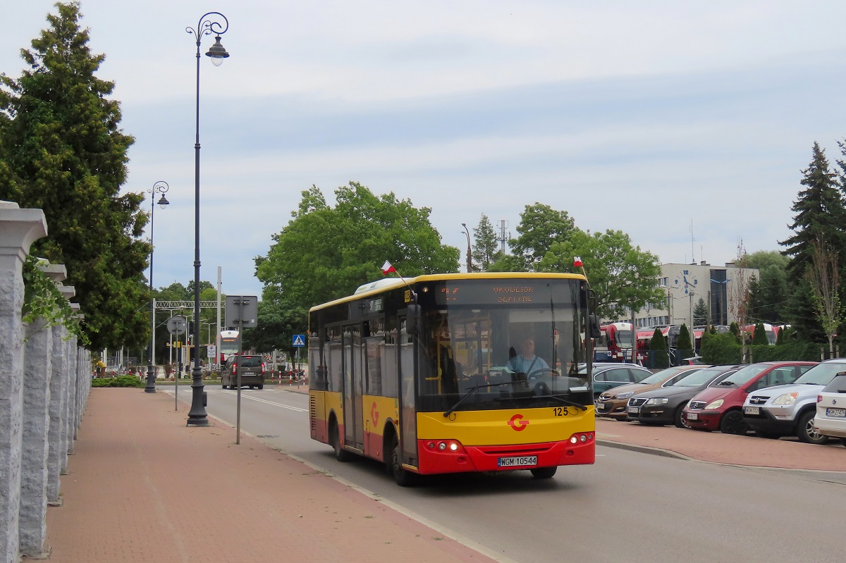125 (70007)
ZAZ jedzie jako kurs 213 linii numer 17: BrwinĂłw Rynek (10:35)-Grodzisk Maz. Szpital (11:23). 
