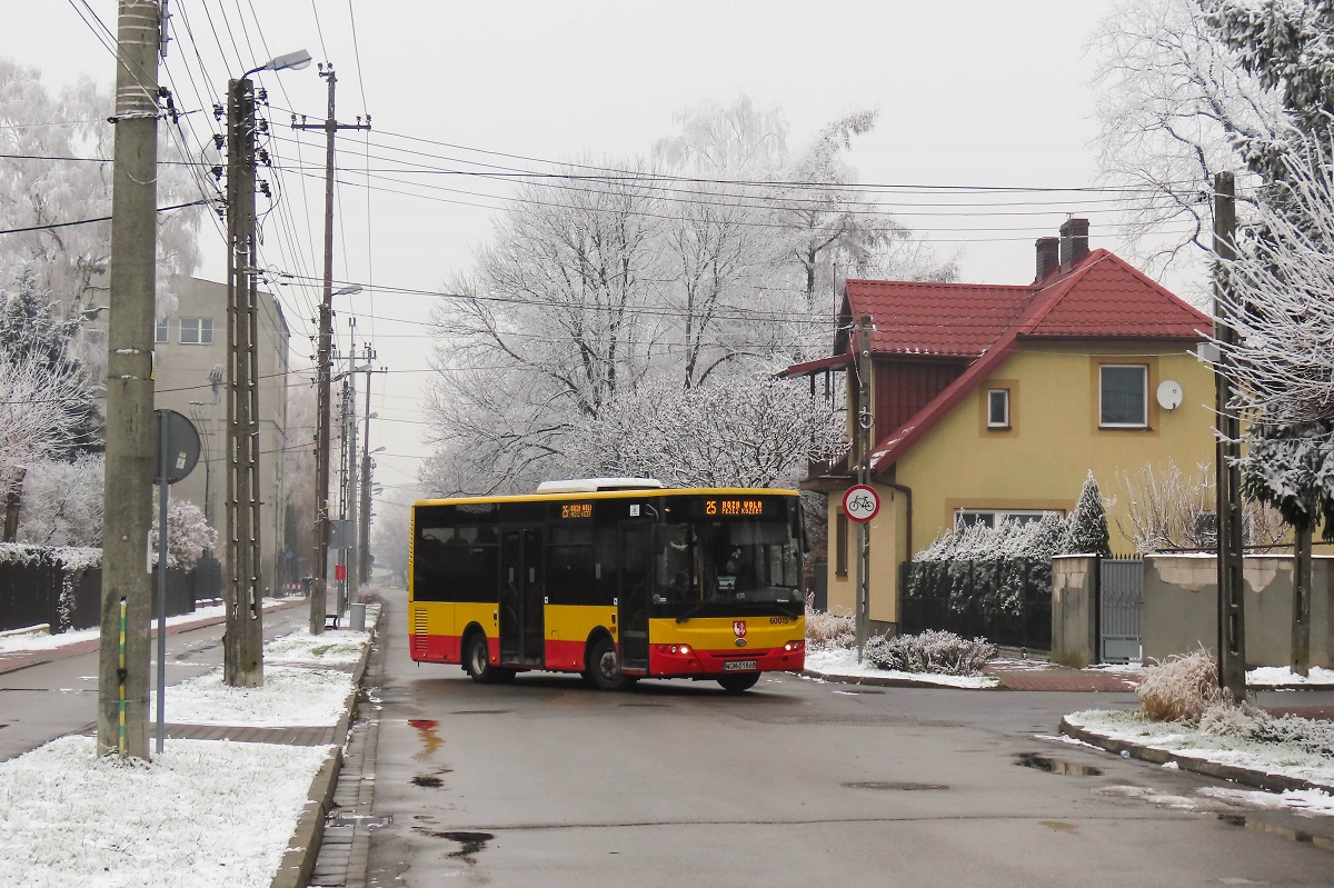 60015
ZAZ jedzie jako kurs linii numer 25 â Grodzisk Maz. Dw. PKP (11:30)-BoĹźa Wola SzkoĹa (12:14). 
Słowa kluczowe: zima