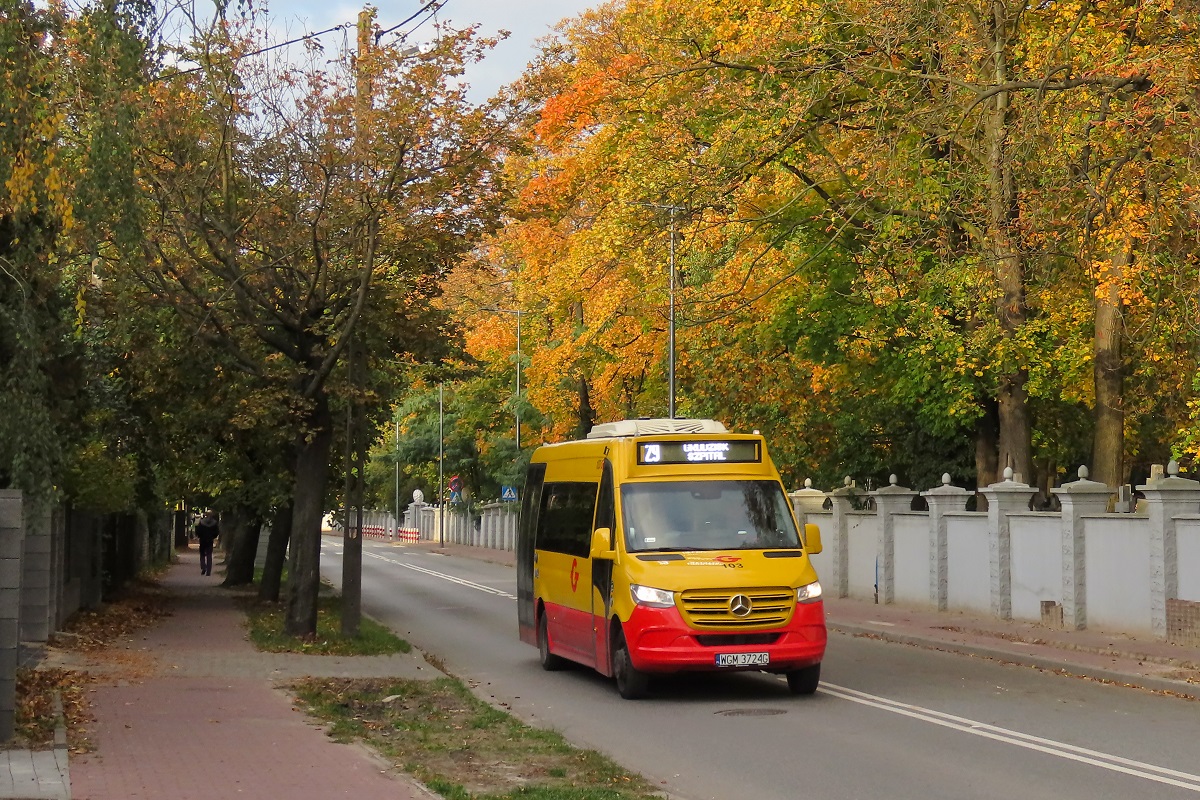 103 (22020)
Sprinter jedzie jako kurs â211â linii numer 29 â Radonie PÄtla (16:10)-Grodzisk Maz. Szpital (17:03).
Słowa kluczowe: JesieĹ