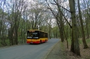 DSC05291_28229.JPG