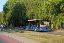IMG_1846_--_kopia.JPG