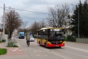 IMG_5996_--_kopia.JPG