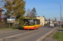 IMG_6128_--_kopia.JPG