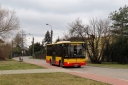 IMG_6499_--_kopia.JPG