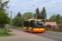 IMG_6521_--_kopia~0.JPG