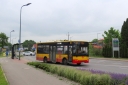 IMG_7179_--_kopia~0.JPG