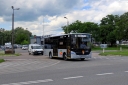 IMG_7334_--_kopia.JPG